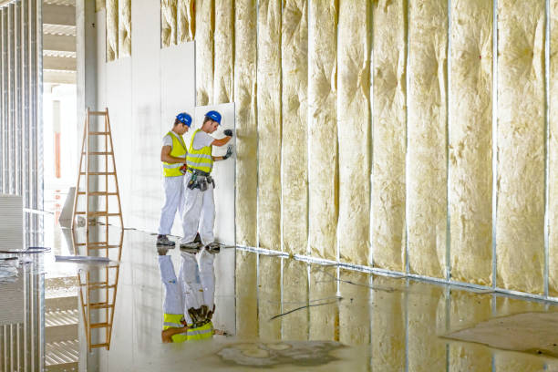 Best Professional Insulation Contractor  in Sayreville, NJ